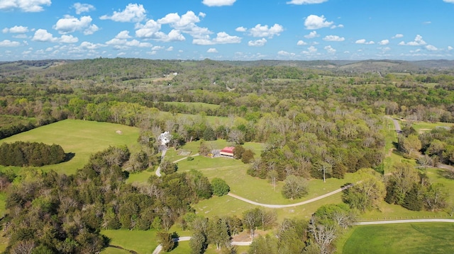 aerial view with a view of trees