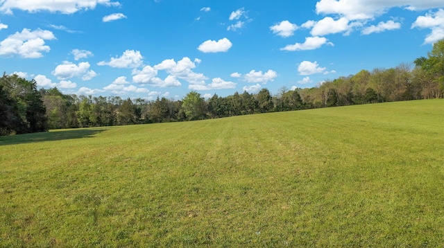view of local wilderness with a wooded view