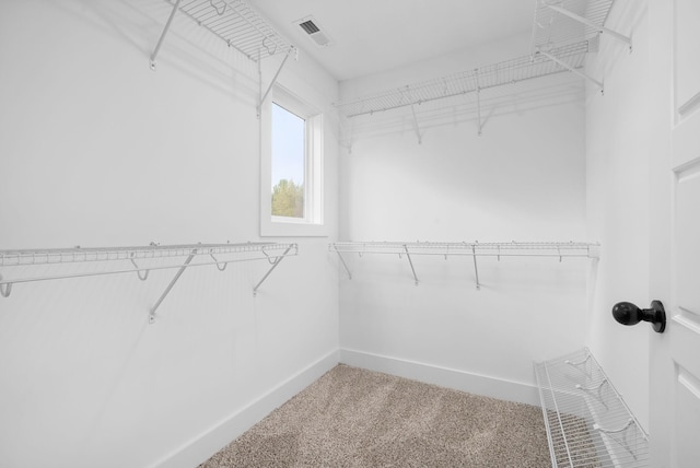walk in closet with visible vents and carpet floors