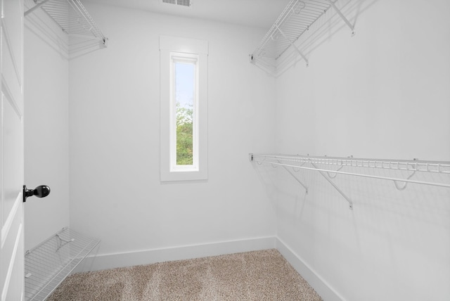 walk in closet with visible vents and carpet floors