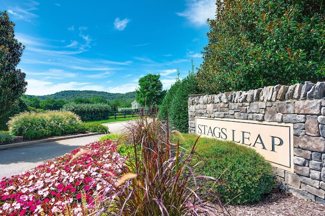 1004 Sattui Ct, Franklin, TN 37064 - community / neighborhood sign with a mountain view