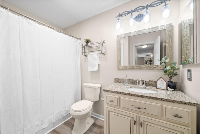 3844 Marla Cir, Clarksville, TN 37042 - bathroom with a shower with curtain, baseboards, toilet, wood finished floors, and vanity
