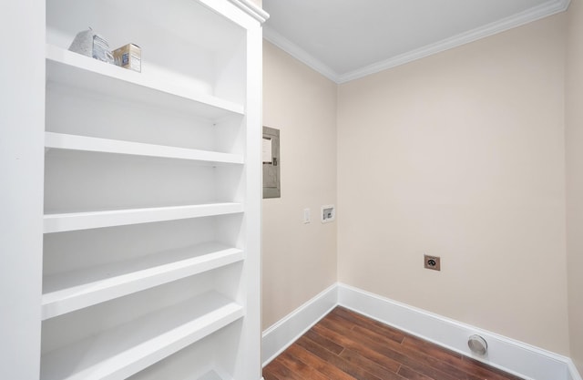 washroom with laundry area, crown molding, hookup for an electric dryer, baseboards, and dark wood-style floors