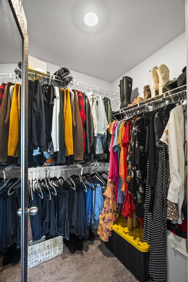 123 Saddlewood Ln, Hendersonville, TN 37075 - spacious closet featuring carpet