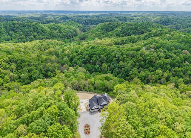 aerial view with a forest view