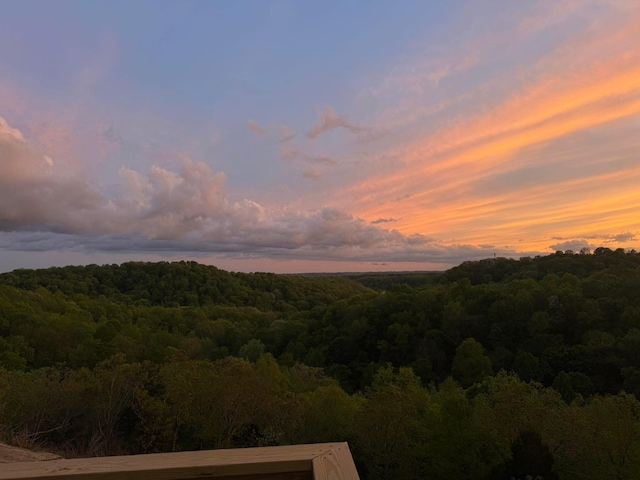 property view of mountains featuring a forest view