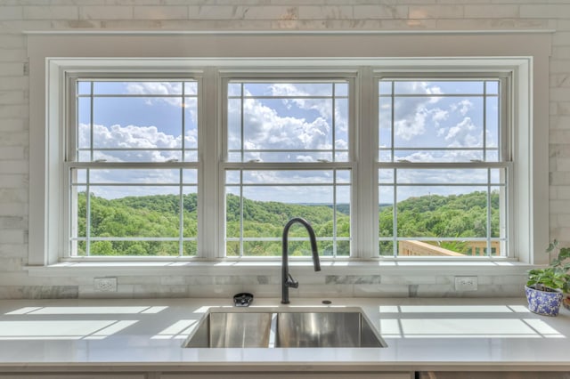 interior details with light countertops and a sink