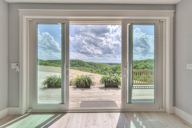 entryway featuring baseboards, wood finished floors, and plenty of natural light