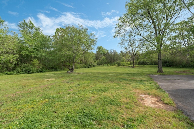3806 Woodbury Pike, Murfreesboro, TN 37127 - photo 28