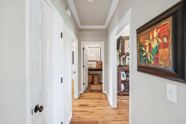 corridor with crown molding and light wood-type flooring