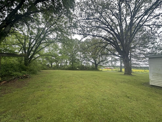 view of yard