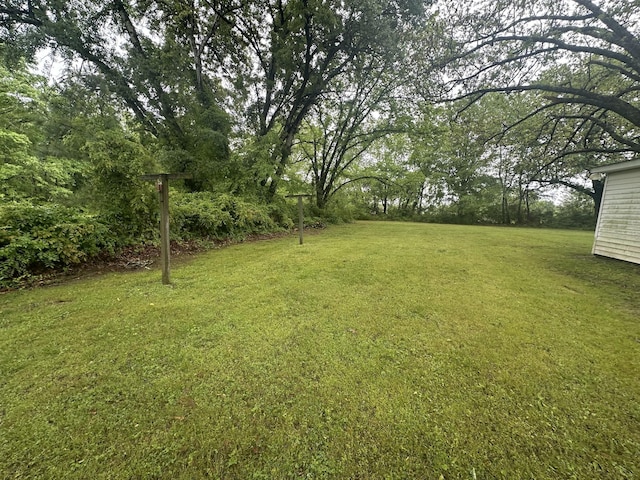view of yard