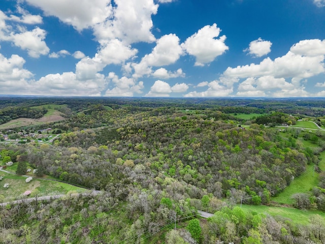 1387 Riley Hill Rd, Pulaski, TN 38478