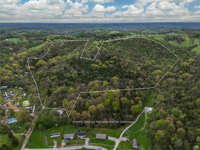 1387 Riley Hill Rd, Pulaski, TN 38478