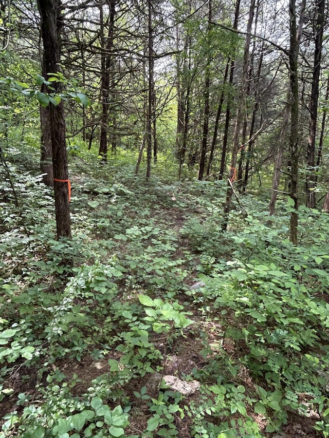 1387 Riley Hill Rd, Pulaski, TN 38478