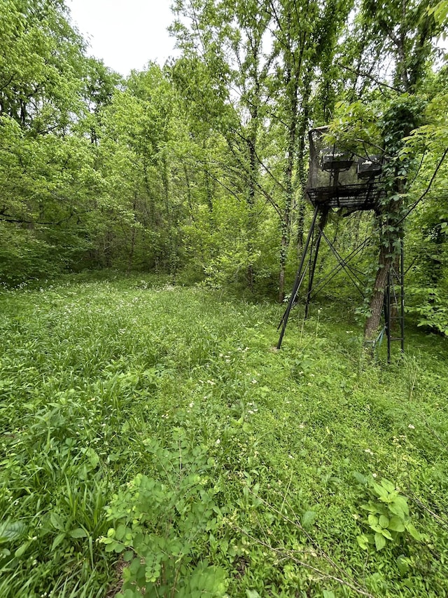 1387 Riley Hill Rd, Pulaski, TN 38478