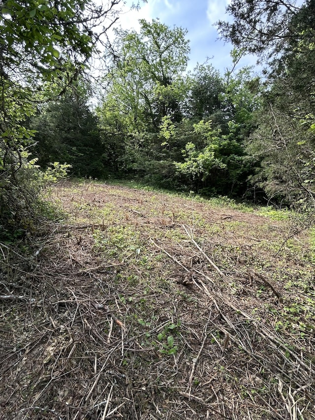 1387 Riley Hill Rd, Pulaski, TN 38478
