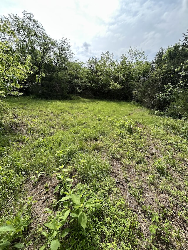 1387 Riley Hill Rd, Pulaski, TN 38478
