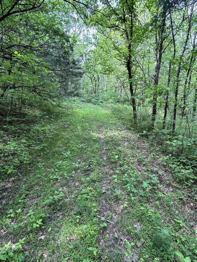 1387 Riley Hill Rd, Pulaski, TN 38478