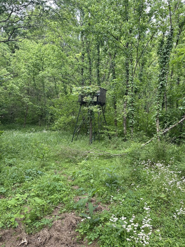 1387 Riley Hill Rd, Pulaski, TN 38478