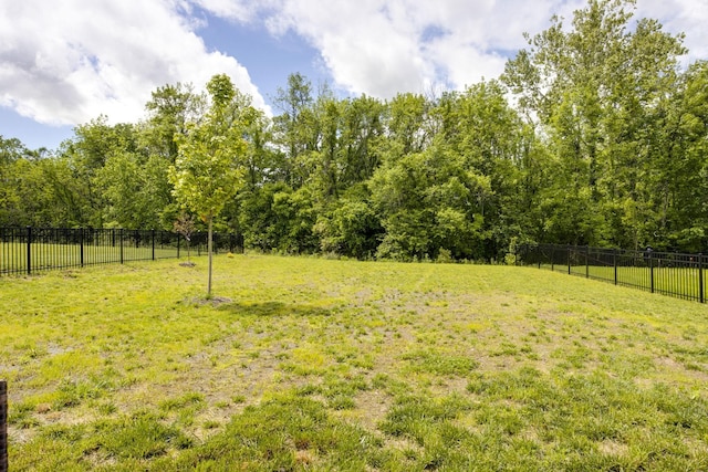 2137 Creekland View Blvd, Nashville, TN 37207 - view of yard
