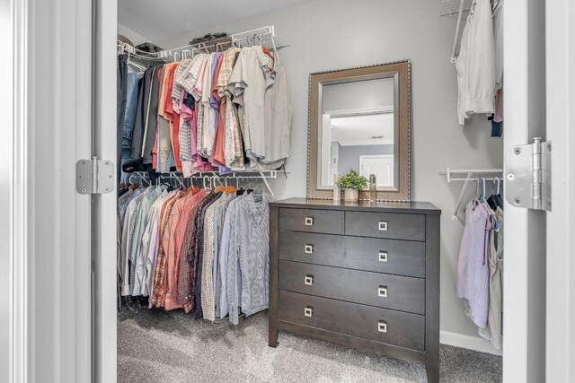 walk in closet with carpet floors