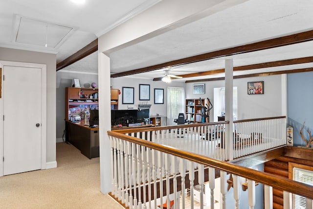 209 Green Valley Blvd, Franklin, TN 37064 - hall featuring attic access, baseboards, beamed ceiling, ornamental molding, and carpet