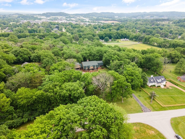 209 Green Valley Blvd, Franklin, TN 37064 - birds eye view of property