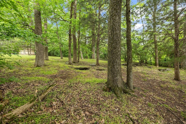 209 Green Valley Blvd, Franklin, TN 37064 - view of nature