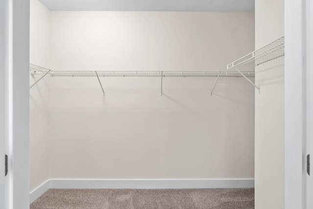 spacious closet with carpet
