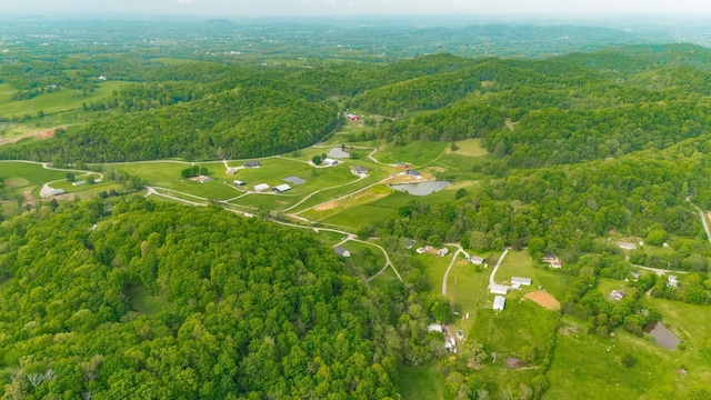 546 Brazier Ln, Gallatin, TN 37066 - photo 89