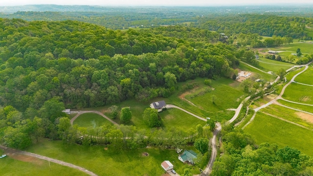 546 Brazier Ln, Gallatin, TN 37066 - photo 87
