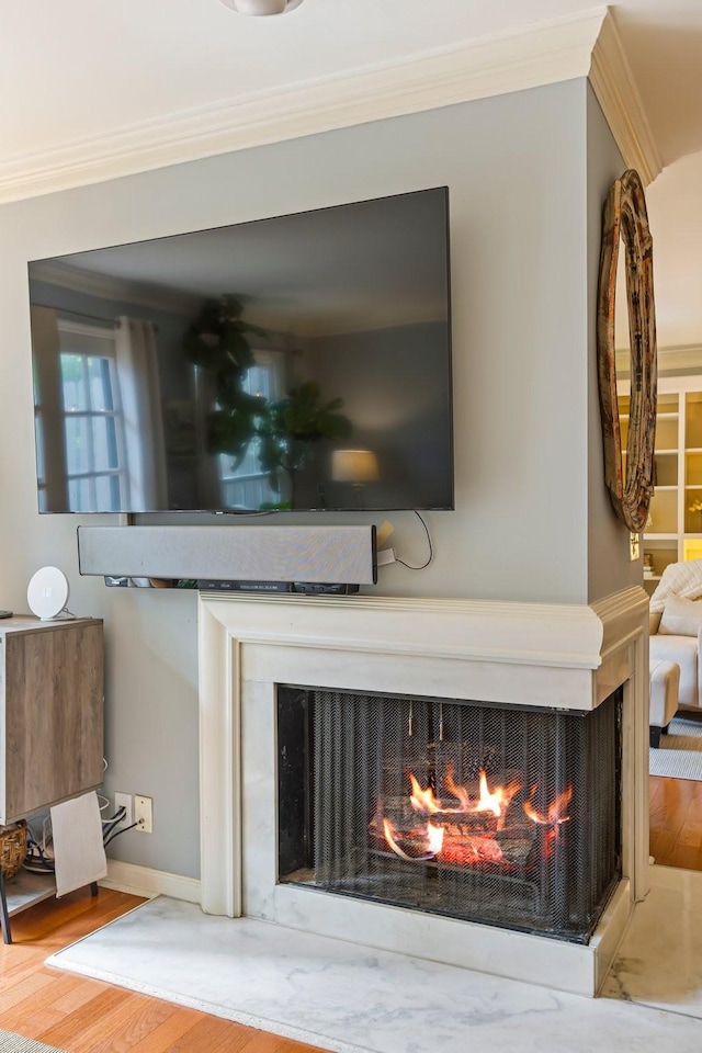 details with wood finished floors, ornamental molding, a multi sided fireplace, and baseboards