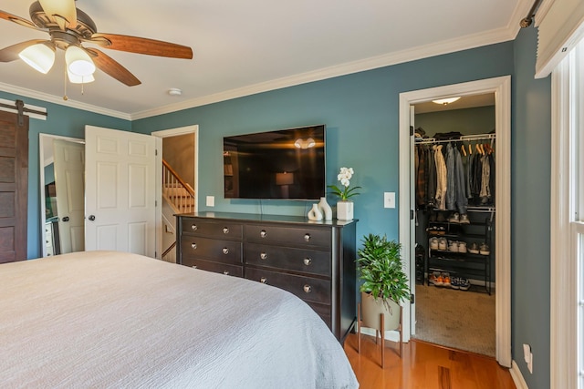 bedroom featuring crown molding, a barn door, a closet, wood finished floors, and a walk in closet