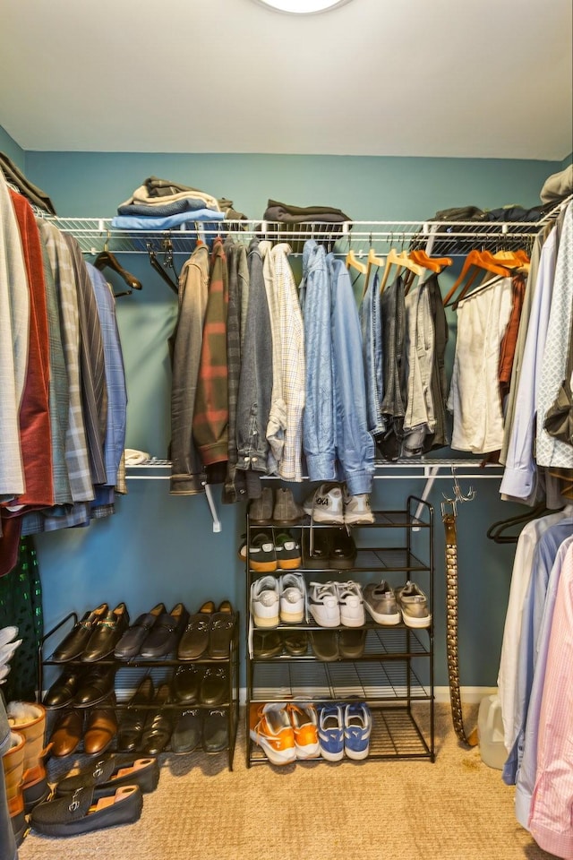 view of spacious closet