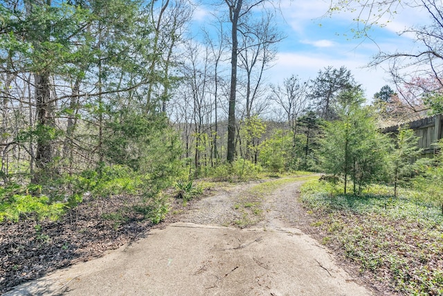 view of street with a forest view