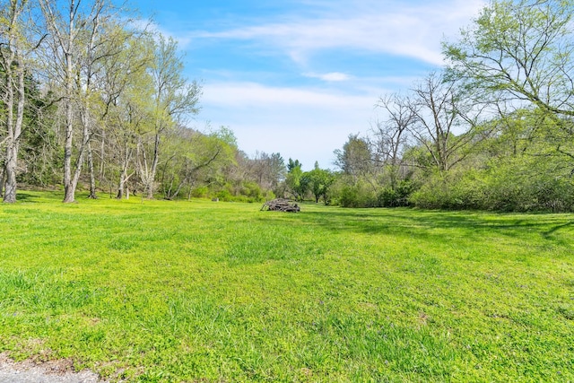 view of yard with a forest view