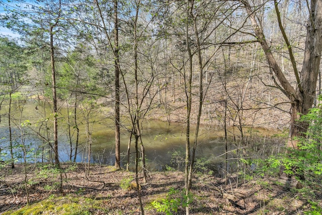 view of water feature