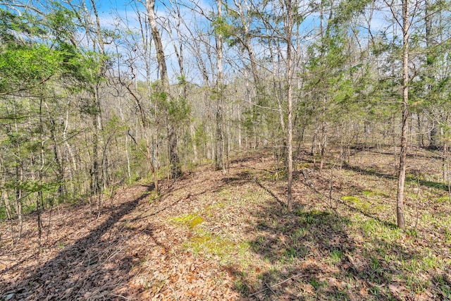 view of local wilderness featuring a wooded view