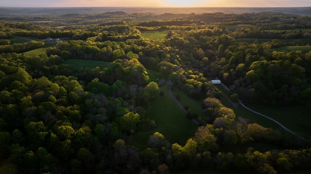 birds eye view of property featuring a view of trees