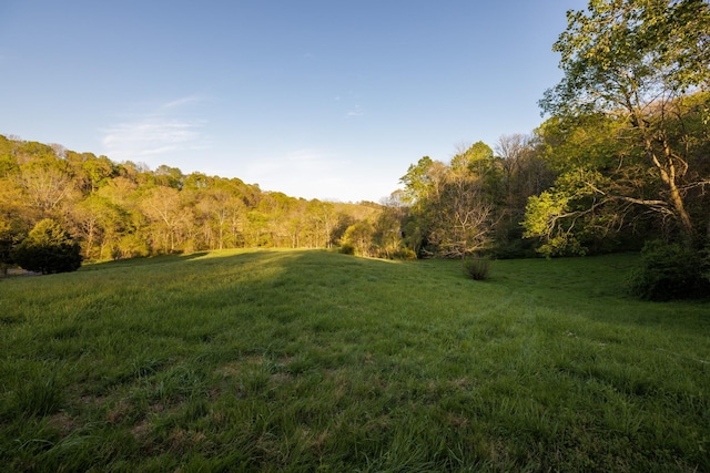 view of landscape with a rural view and a forest view
