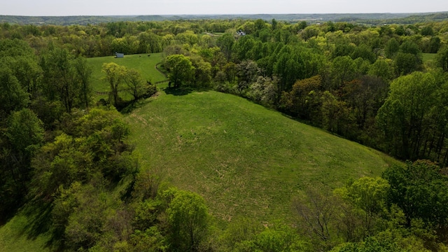 bird's eye view featuring a view of trees