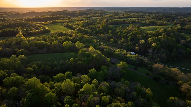 aerial view at dusk with a wooded view