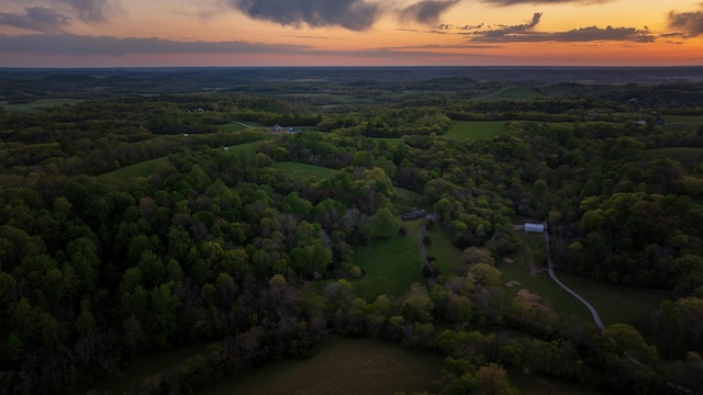 aerial view at dusk featuring a wooded view
