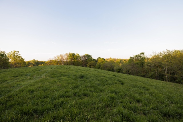 view of local wilderness featuring a rural view and a wooded view