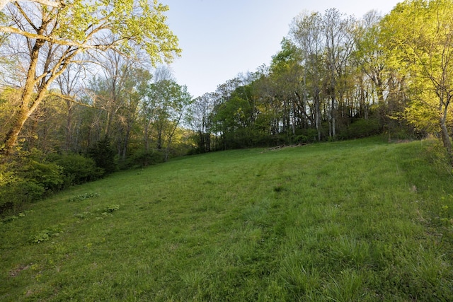 view of yard with a wooded view
