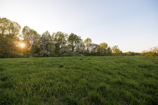 view of nature featuring a rural view