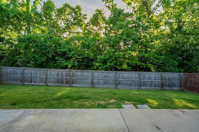 view of yard featuring a fenced backyard