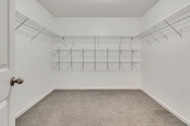 7347 Autumn Crossing Way, Brentwood, TN 37027 - spacious closet with carpet