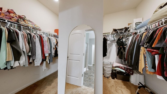 524 Burchell Ln, Columbia, TN 38401 - walk in closet featuring carpet floors and arched walkways